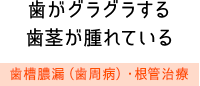 歯がグラグラする歯茎が腫れている　歯槽膿漏（歯周病）・根管治療