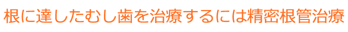 根に達したむし歯を治療するには精密根管治療